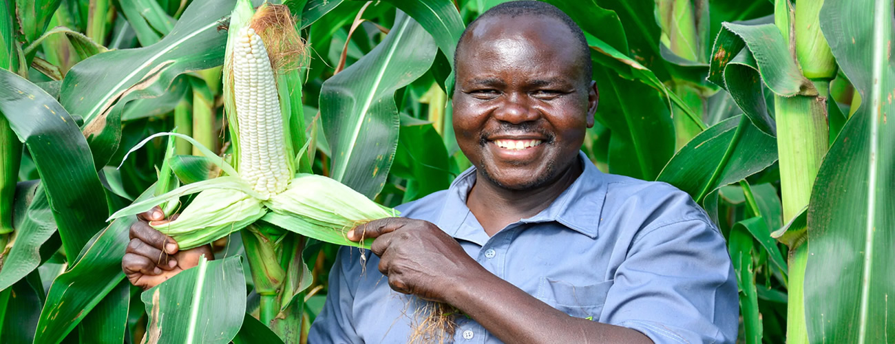 The aim of the Shift Agrihub Agribusiness Online Directory