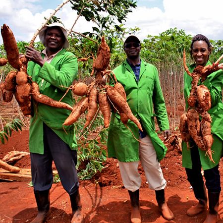 Narok Farmers